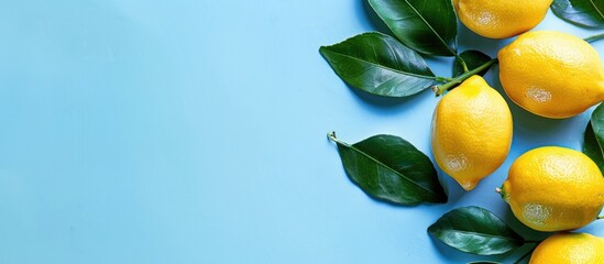 Leinwandbilder - Sicilian lemon with leaves pastel background  Food  Isolated. with copy space image. Place for adding text or design