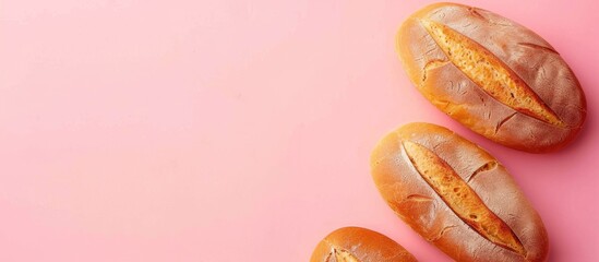 Aufkleber - bread isolated on a pastel background. bakery concept. with copy space image. Place for adding text or design