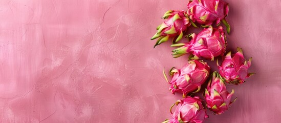 Wall Mural - Fresh dragon fruit on pastel background Food  Isolated. with copy space image. Place for adding text or design