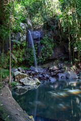 Poster - waterfall in the forest