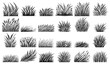 © Malgo - grass, clumps of field grass black vector collection set