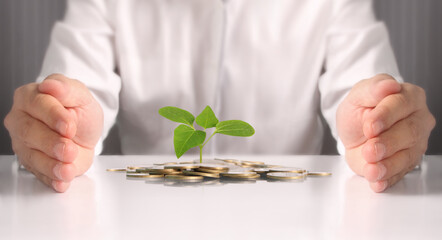 Wall Mural - Businessman holding plant sprouting from a handful of coins