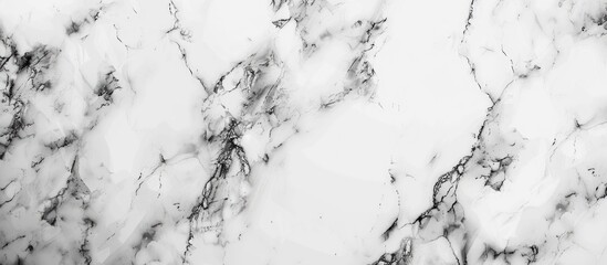 Fototapete - white marble background texture natural stone pattern abstract (with high resolution). with copy space image. Place for adding text or design
