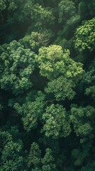 Wall Mural - aerial view of dense lush forest canopy with vibrant green foliage