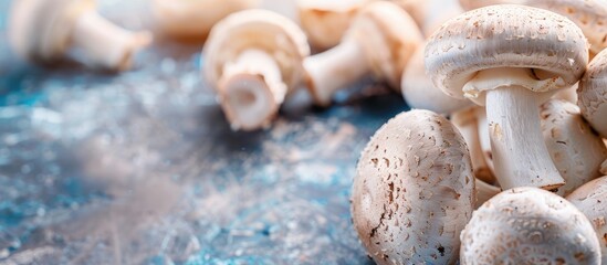 Poster - Bunch of mushroom selling at open sunday market. Selective focus with shallow depth of field. pastel background. Copy space image. Place for adding text and design