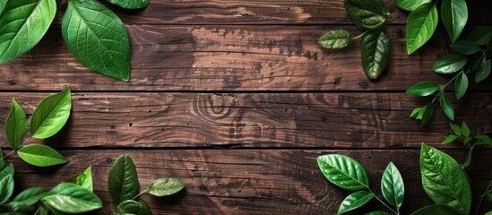 Wall Mural - green leaves on the wooden table. Copy space image. Place for adding text and design