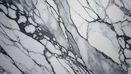 Wall Mural - TEXSTURE OF COOL GREY AND WHITE MARBLE