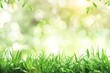 © Maxim Borbut - A natural background featuring fresh green grass with bokeh blur