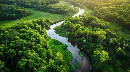 Wall Mural - A peaceful forest with lush green trees and a winding river cutting through the landscape.