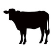 © Kuldi - silhouette or illustration of a cow or buffalo
