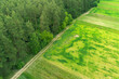 © vvvita - View from above of countryside. View of cultivated fields and green forest in summer. Rural landscape background