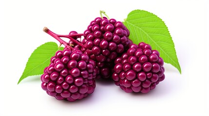 Wall Mural - A close-up image of a bunch of ripe purple mulberries with green leaves on a white background.