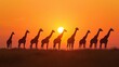 © Narongrit - A herd of giraffes silhouetted against the setting sun and their long necks and legs creating a striking image on the African savanna