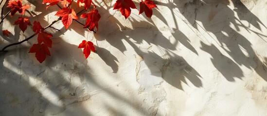 Poster - Autumn background with shadow of the maple tree leaves on a wall. Abstract Autumnal scene. with copy space image. Place for adding text or design