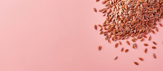Leinwandbilder - Flax seeds isolated on a pastel background, a front view. with copy space image. Place for adding text or design