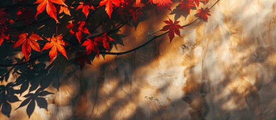 Poster - Autumn background with shadow of the maple tree leaves on a wall. Abstract Autumnal scene. with copy space image. Place for adding text or design