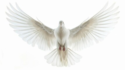 Canvas Print - A peaceful white dove soaring through the air with its wings spread, symbolizing hope and freedom