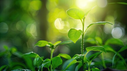 Young plant green background. Generative AI
