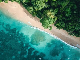 Wall Mural - An aerial view of a pristine beach with crystal-clear waters and white sand, framed by lush green trees, taken from a high altitude with a drone
