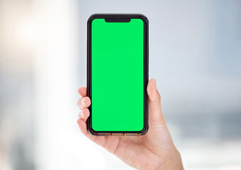 Wall Mural - business person, hands and phone with green screen for advertising, marketing or digital display at 