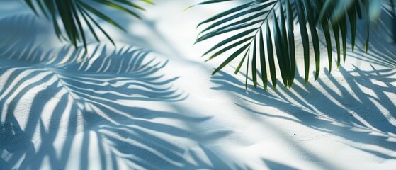 Wall Mural - Shadows of palm leaves on blue water