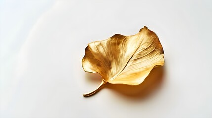 Gold leaf on white background