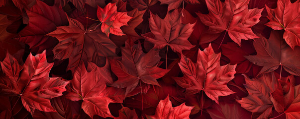canada day background with a modern design featuring overlapping maple leaves in various shades of r