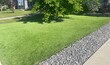 © christopher - A beautiful artificial lawn in the front yard with nice tree and shrubs surrounding it