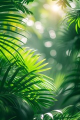 Wall Mural - Abstract green blurred background of palm leaves
