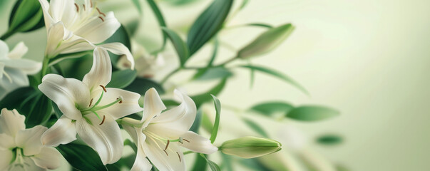 Wall Mural - Mother's Day background with a simple, elegant design featuring lilies and soft green leaves.