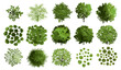 © LOVE VECTOR - Vector top view tree isolated on white background for landscape architecture plan drawing, garden elements and environment layout, landscape design, architecture plan, garden elements