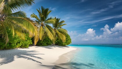 Wall Mural - beautiful beach with palm trees on a tropical island in the maldives