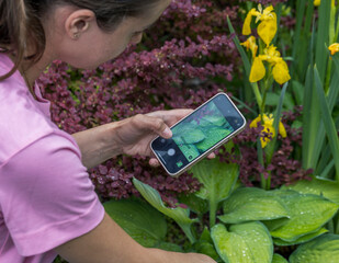 A woman in a pink shirt photographs a lush green garden with her smartphone. The garden is vibrant with yellow flowers and dew-covered leaves, creating a picturesque summer scene.