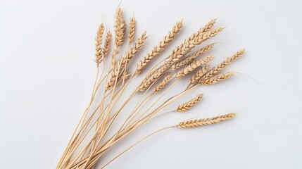 Wall Mural - Wheat stalks on a white backdrop with full clarity, ready for use in packaging design.
