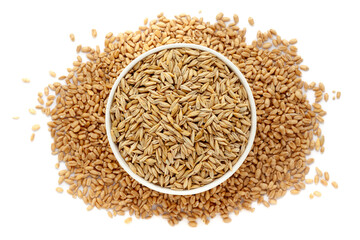 Wall Mural - A bowl of Organic Barley or Jau (Hordeum Vulgare) Grains, placed over a heap of Wheat Grains. Isolated on a white background.