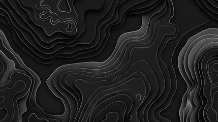 Wall Mural - A black and white abstract background with wavy lines.