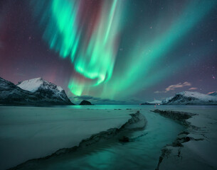 Wall Mural - northern lights, snowy mountains, sandy beach, creek at starry winter night. lofoten islands, norway
