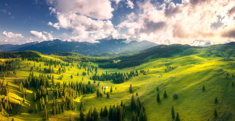 Wall Mural - aerial view of green alpine meadows on the hills at sunset in summer. top drone view of mountain val