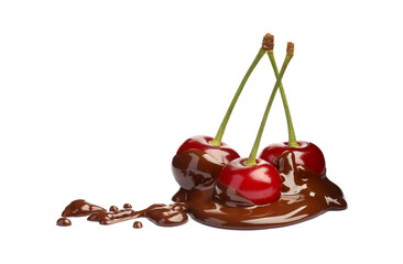 Wall Mural - Fresh cherries with melted chocolate isolated on white