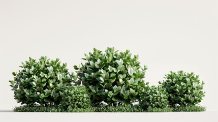 Wall Mural - Lush Green Shrubbery Against White Background, Generative AI