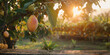 © Muhammad - sunset with a blurred orange peach, a brick wall, and a green field