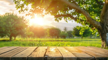 Wall Mural - Tree Table wood Podium in farm display for food, perfume, and other products on nature background