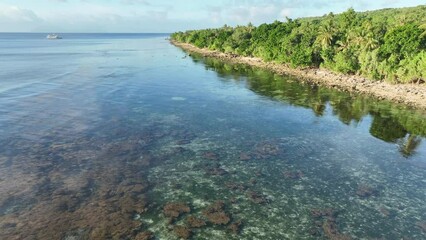 Wall Mural - Calm, clear water bathes the scenic coast of a remote island in the Forgotten Islands of eastern Indonesia. This beautiful region harbors extraordinary marine biodiversity.