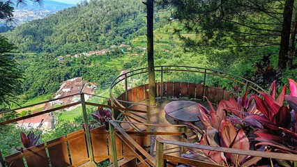 cafe with wooden architecture in the middle of green forest