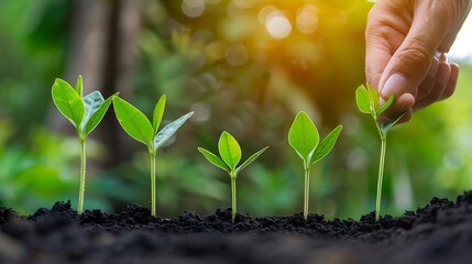 Aufkleber - Franchise business concept franchise network business marketing plan for branch growth and expansion Successful franchise businesses excel in both the franchising model and marketing s : Generative AI