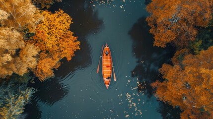 Wall Mural - aerial view of a rowing boat in an autumn landscape