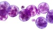 © Tee - Microscopic view of purple cells isolated on a white background, ideal for scientific and medical visual content.