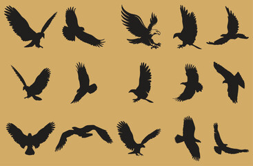 Eagle icons flying with spread wings. Editable Vector birds of prey or predatory birds. Raptor eagle, falcon or hawk. Eagles Silhouette flying. eps 10.