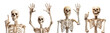 © vectornation - Set of human skeleton with various pose isolated on transparent background
