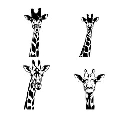 Wall Mural - giraffe illustration